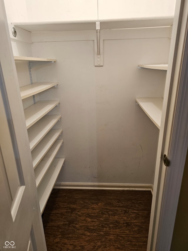 walk in closet featuring dark hardwood / wood-style floors