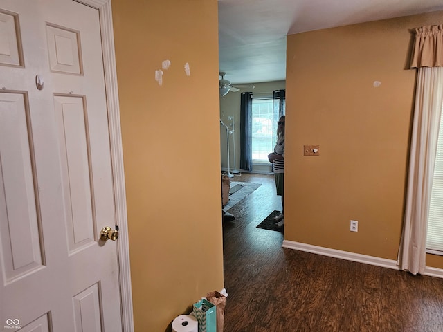 hallway with dark wood-type flooring