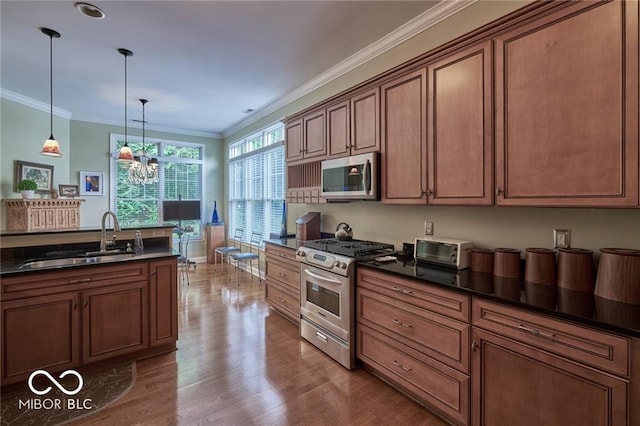 kitchen featuring sink, hanging light fixtures, ornamental molding, light hardwood / wood-style floors, and stainless steel appliances