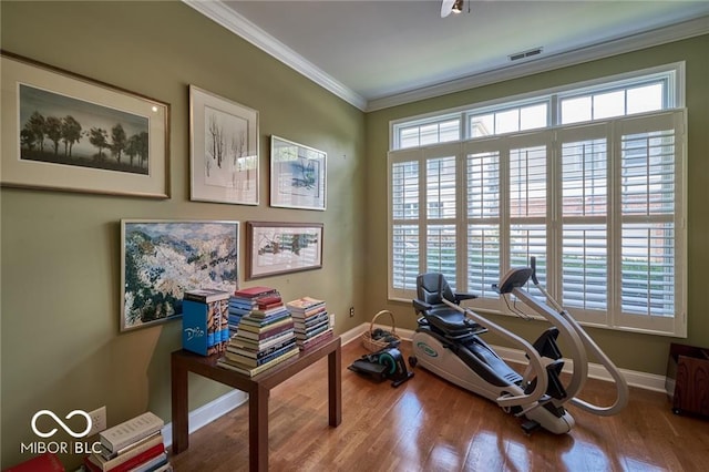 workout area featuring crown molding and hardwood / wood-style flooring