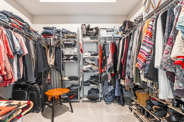 spacious closet featuring carpet flooring