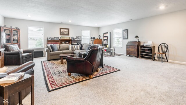 living room with light carpet and a textured ceiling