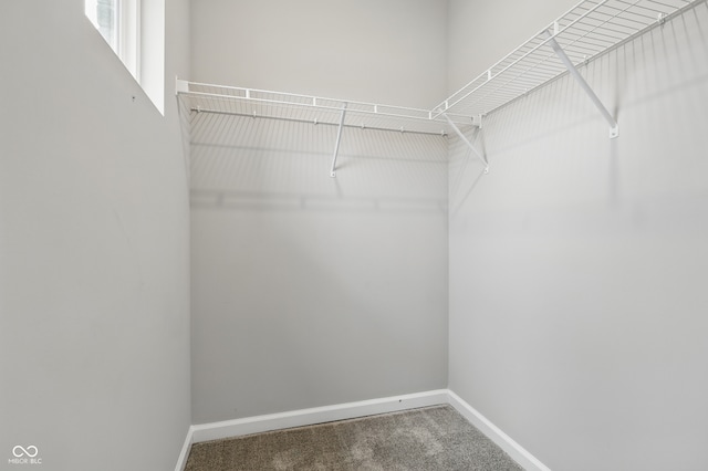 16311 Taconite Dr, Noblesville, IN 46060 - photo 27