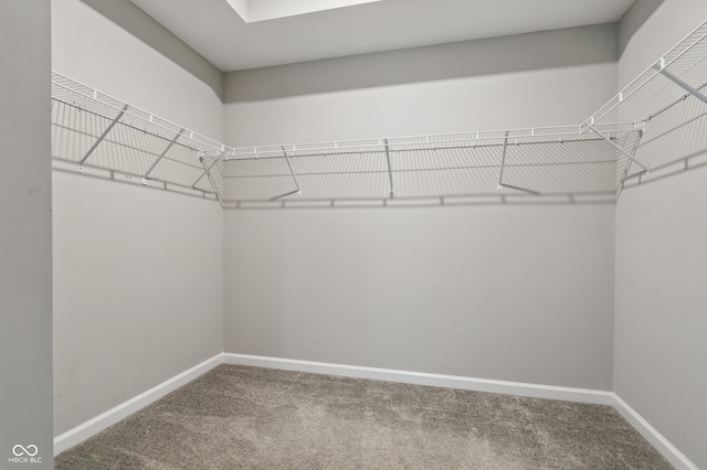 16311 Taconite Dr, Noblesville, IN 46060 - photo 19