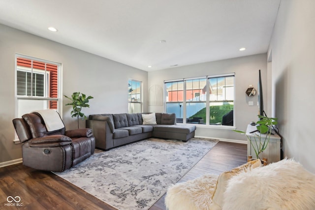 living room with dark wood-type flooring