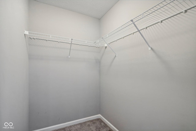 walk in closet with carpet flooring