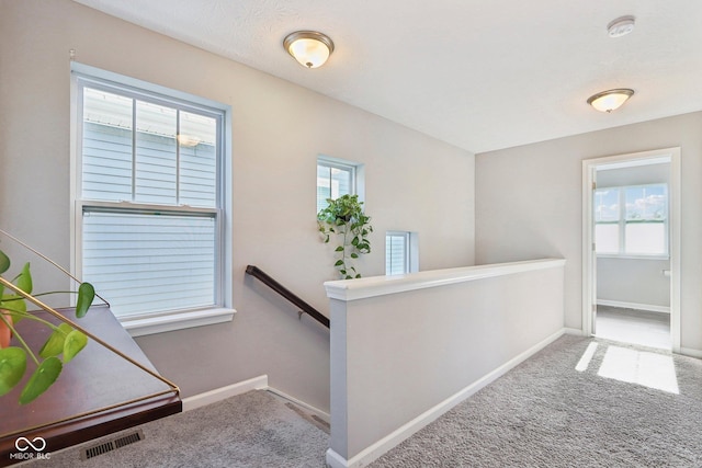 hall with a healthy amount of sunlight and carpet floors