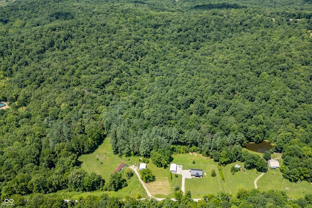 bird's eye view