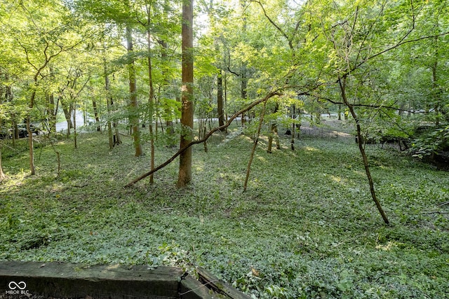 view of nature featuring a view of trees