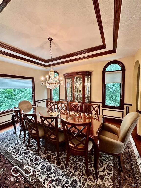 dining area featuring a healthy amount of sunlight, wood-type flooring, a tray ceiling, and a textured ceiling