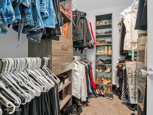 walk in closet with carpet flooring