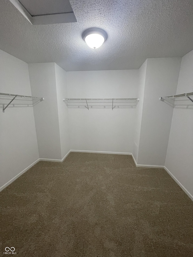 walk in closet with carpet flooring