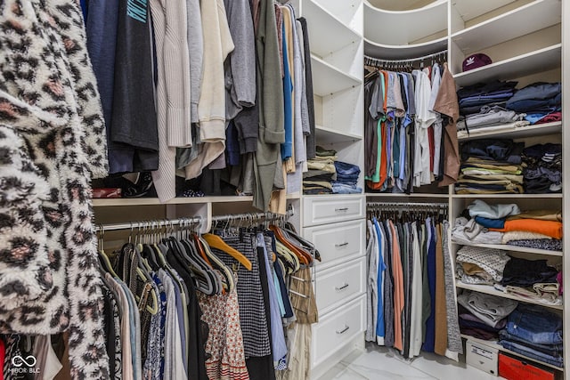 view of spacious closet