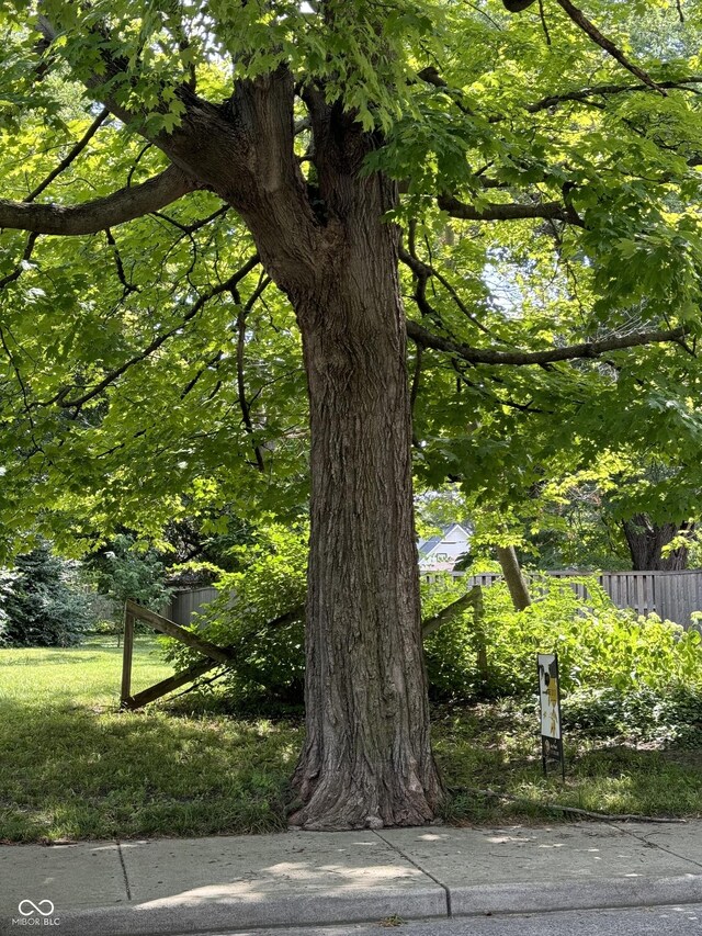 1121 N Tacoma Ave, Indianapolis, IN 46201 - photo 2