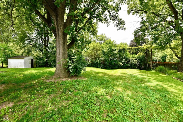 view of yard featuring a storage unit