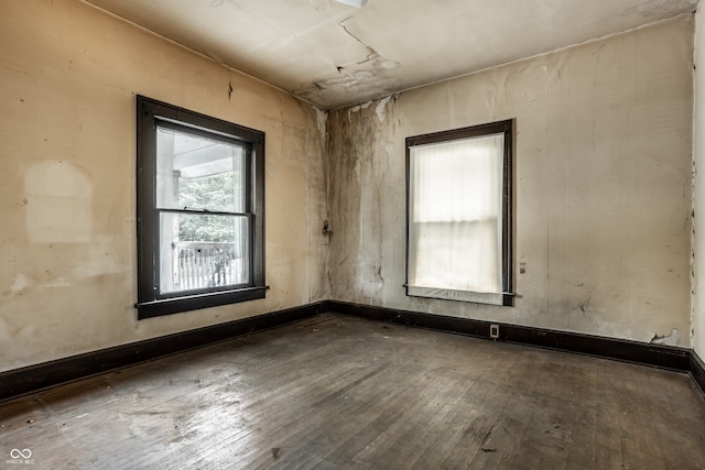 unfurnished room with wood-type flooring and a wealth of natural light