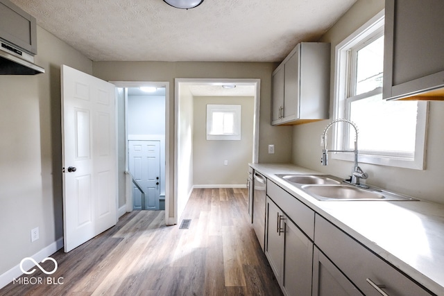 kitchen featuring gray cabinetry, sink, light wood-type flooring, a textured ceiling, and stainless steel dishwasher