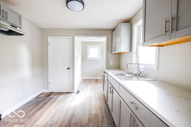 kitchen with sink, a textured ceiling, gray cabinetry, and light hardwood / wood-style floors