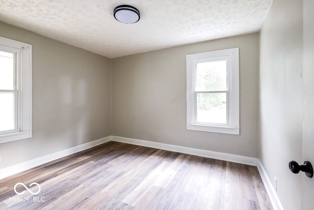 spare room featuring a textured ceiling and light wood-type flooring