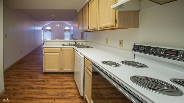 kitchen with range, light brown cabinets, kitchen peninsula, and dark hardwood / wood-style flooring