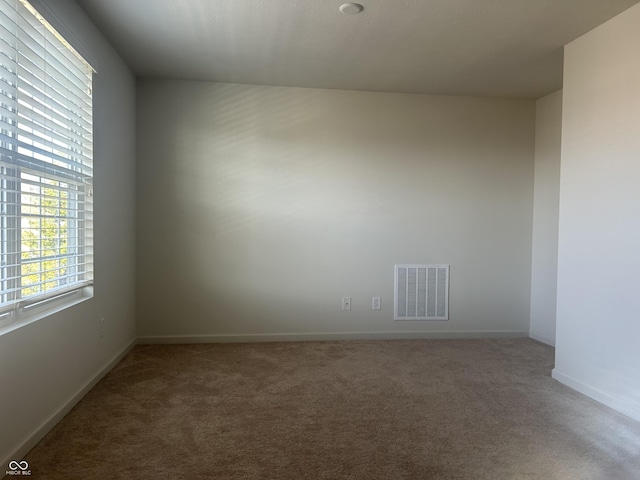 spare room featuring carpet floors