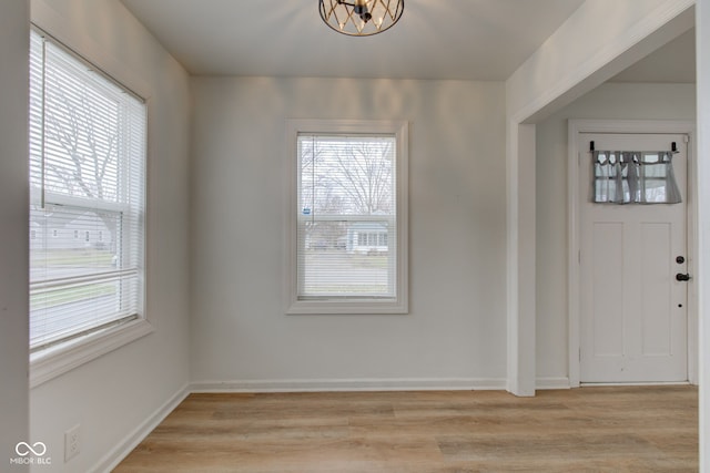 entrance foyer featuring plenty of natural light and light hardwood / wood-style flooring