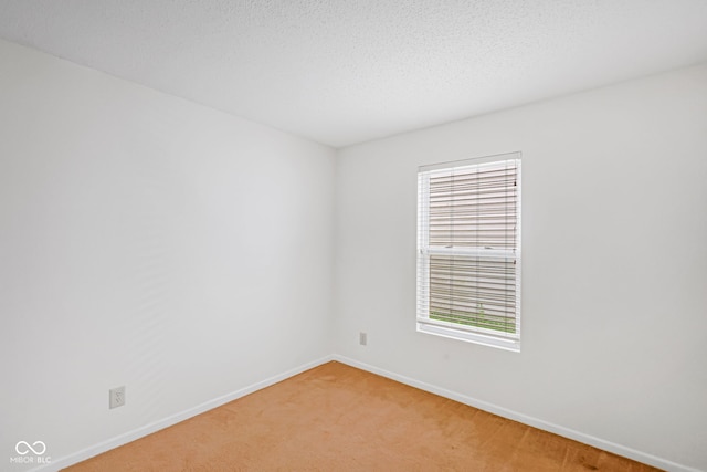 empty room featuring carpet flooring and a textured ceiling