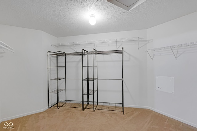 spacious closet with carpet floors