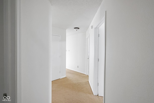 hall featuring light carpet and a textured ceiling