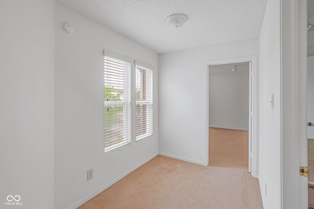 spare room featuring light colored carpet and a textured ceiling