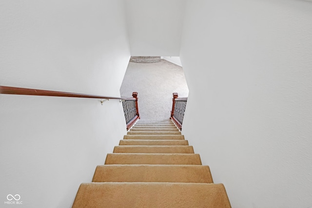 stairs with carpet floors