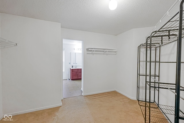 walk in closet featuring sink and light colored carpet