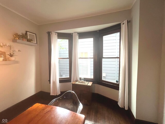 interior space with dark hardwood / wood-style flooring