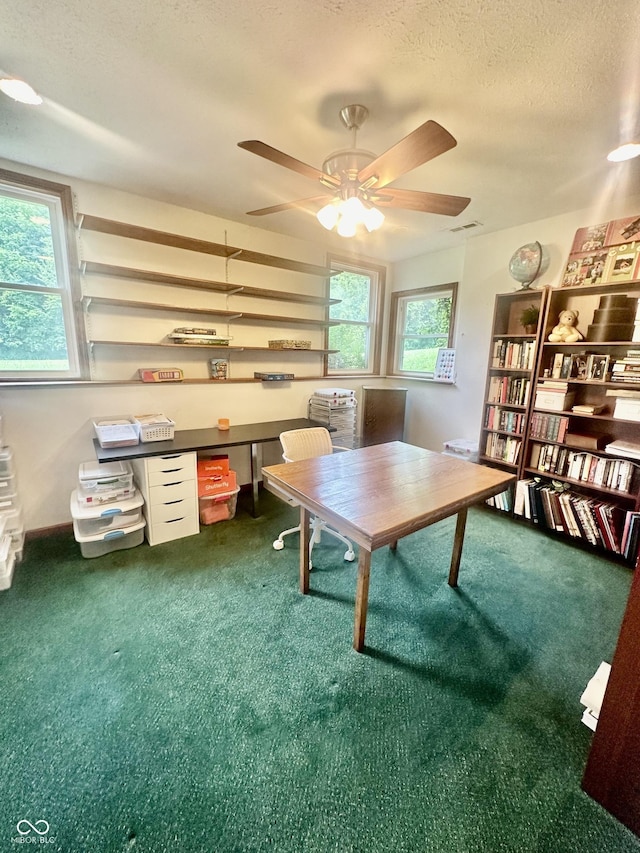 office area with a textured ceiling, carpet, and a healthy amount of sunlight