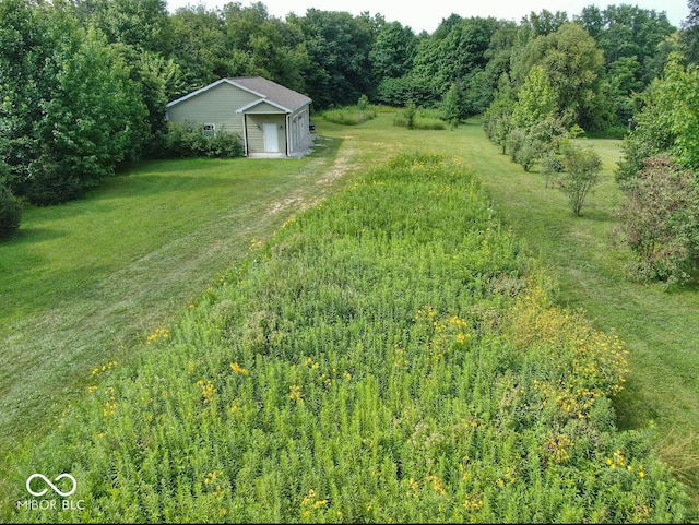 view of yard with a view of trees