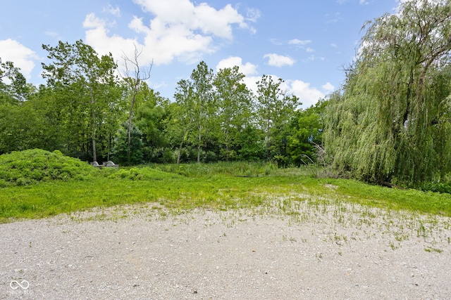 view of nature featuring a view of trees