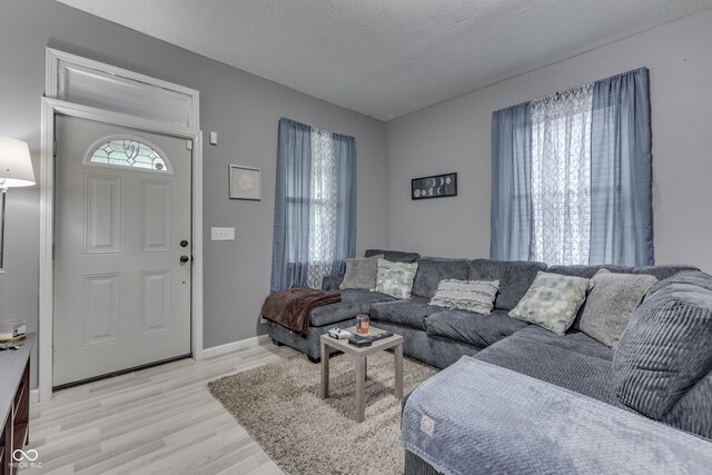 living room featuring light hardwood / wood-style floors