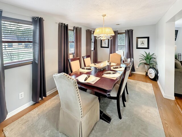 dining room with light hardwood / wood-style flooring, a wealth of natural light, and a textured ceiling