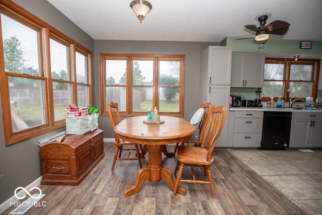 dining area featuring a healthy amount of sunlight, sink, ceiling fan, and light hardwood / wood-style floors