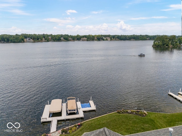 drone / aerial view with a water view