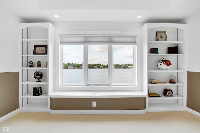 mudroom featuring light carpet