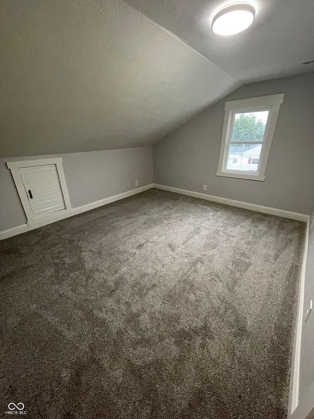 bonus room with carpet, a textured ceiling, and lofted ceiling