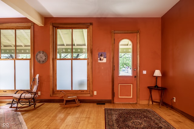 entrance foyer featuring light hardwood / wood-style flooring