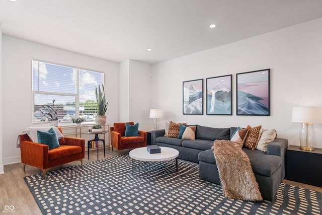 living room with light wood-type flooring