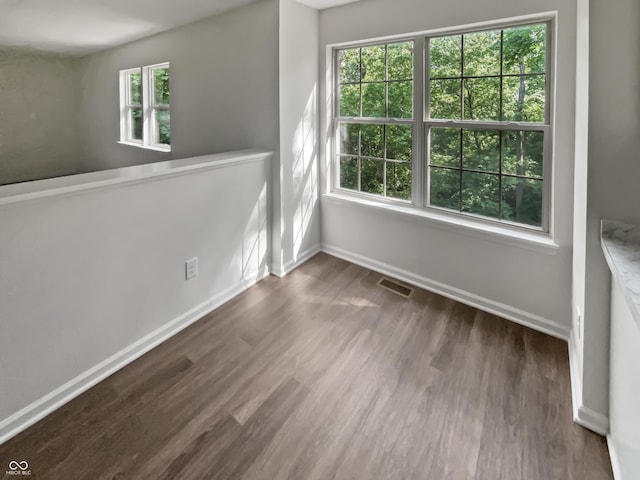 unfurnished room featuring dark wood-type flooring and a wealth of natural light