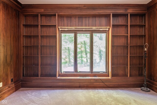 interior space featuring wooden walls