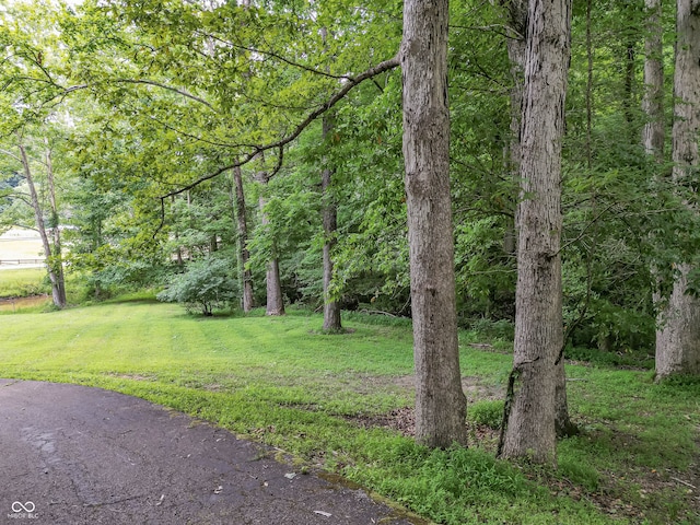 view of yard featuring a forest view