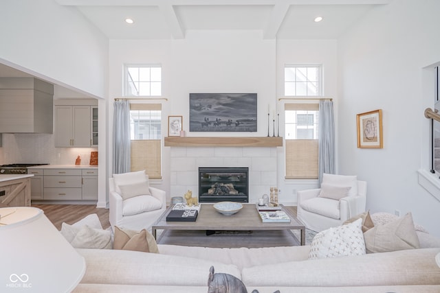 living room with plenty of natural light, a fireplace, light hardwood / wood-style flooring, and a towering ceiling