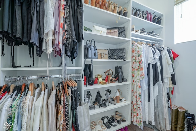 view of spacious closet