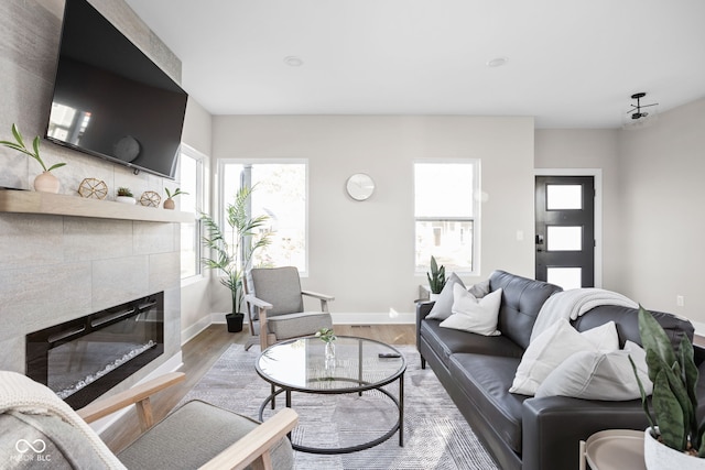 living room with a fireplace and wood-type flooring